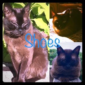 👟👞👢Shoes👞👟Offers Welcome!👢👞👟